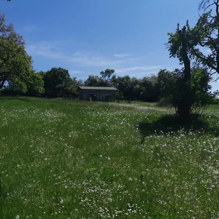 Gutshaus Thorstorf Gross Schwansee